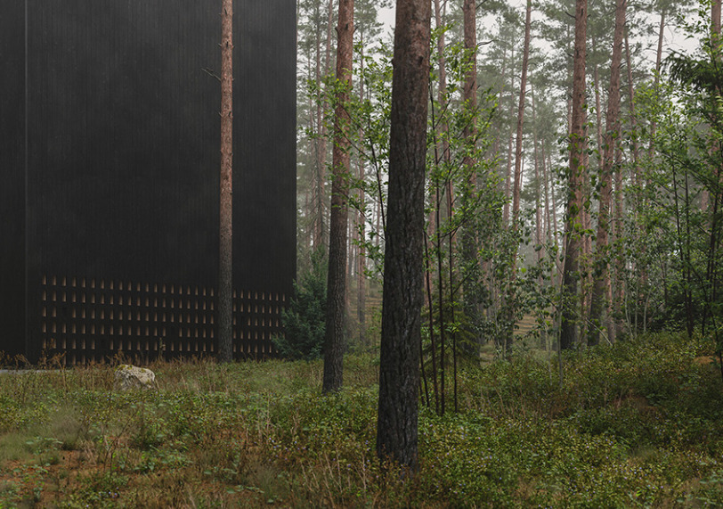 墓地の概念を再定義する「Forest Memorial」。3DアーティストのTomek Michalski氏が構想