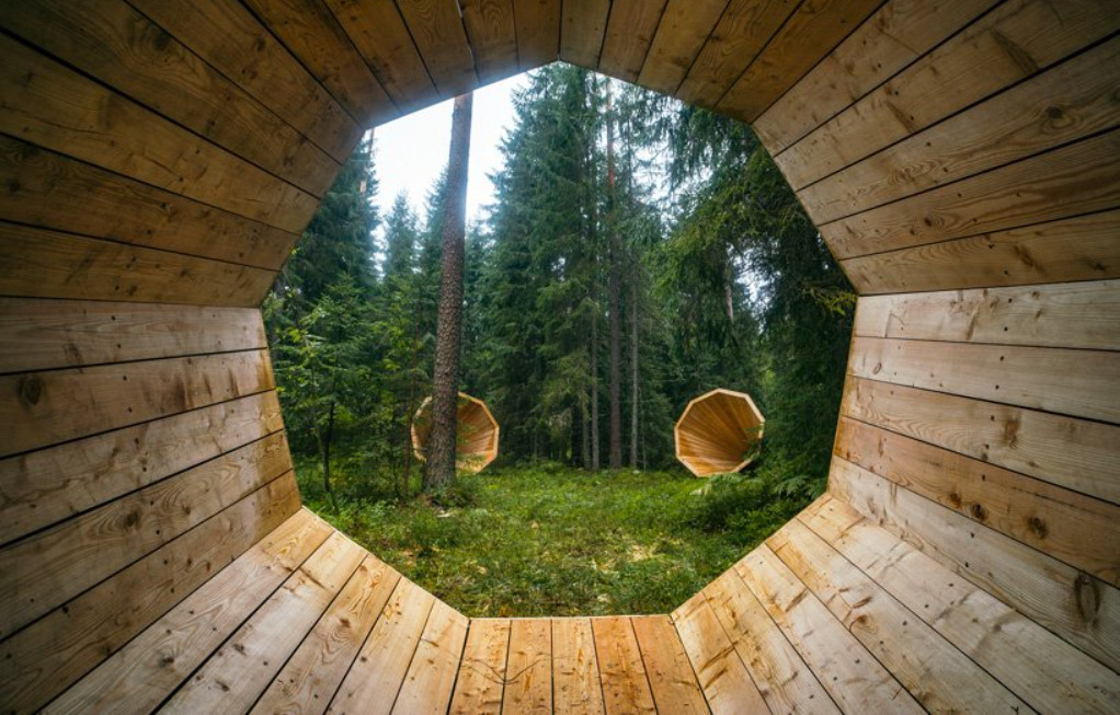森の雰囲気を増幅！エストニアの学生たちがメガホンのような図書館スペースを制作