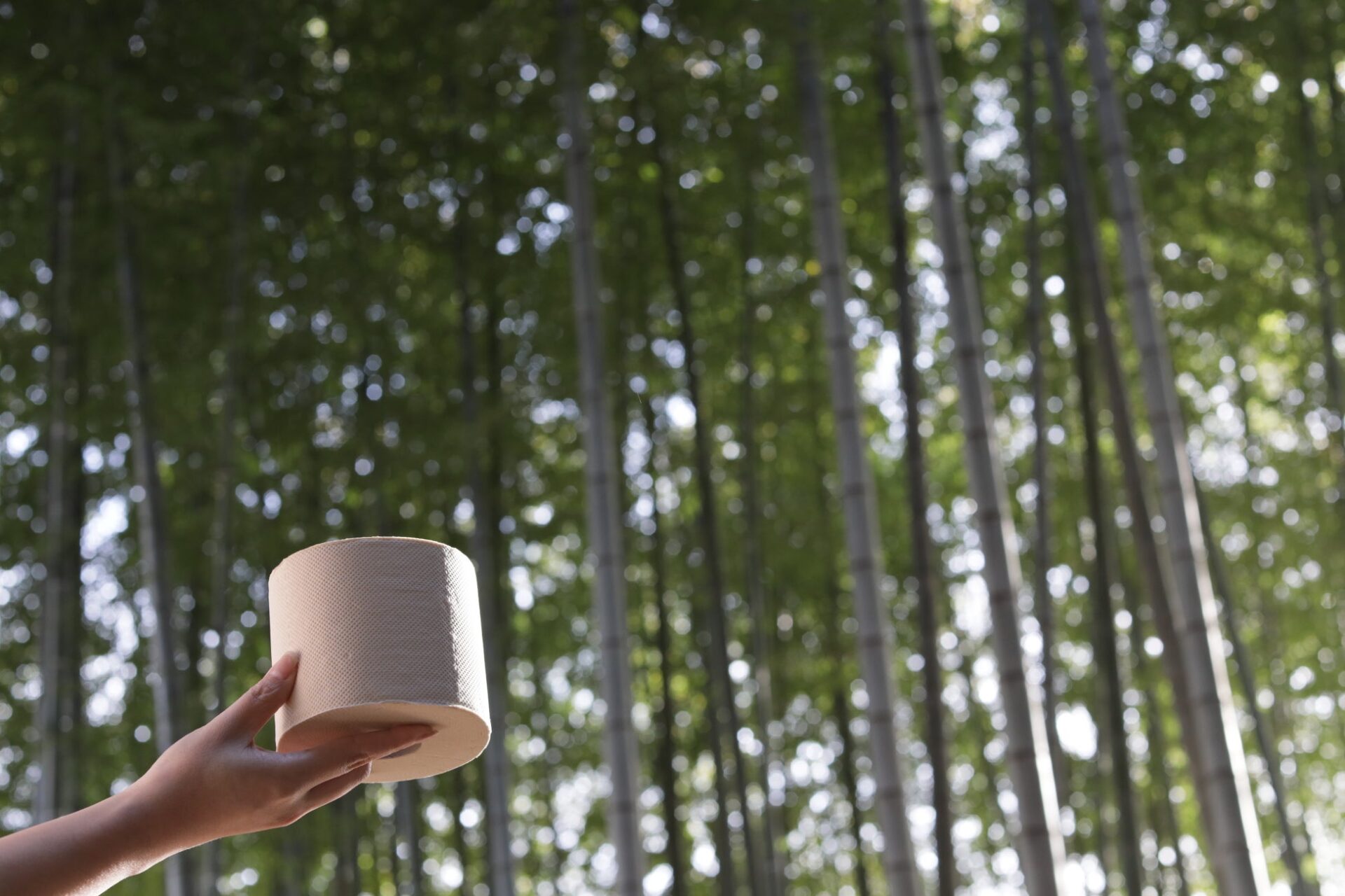 “還す”を未来の当たり前に。「日本の竹でバンブーロールをつくろうプロジェクト」を始動