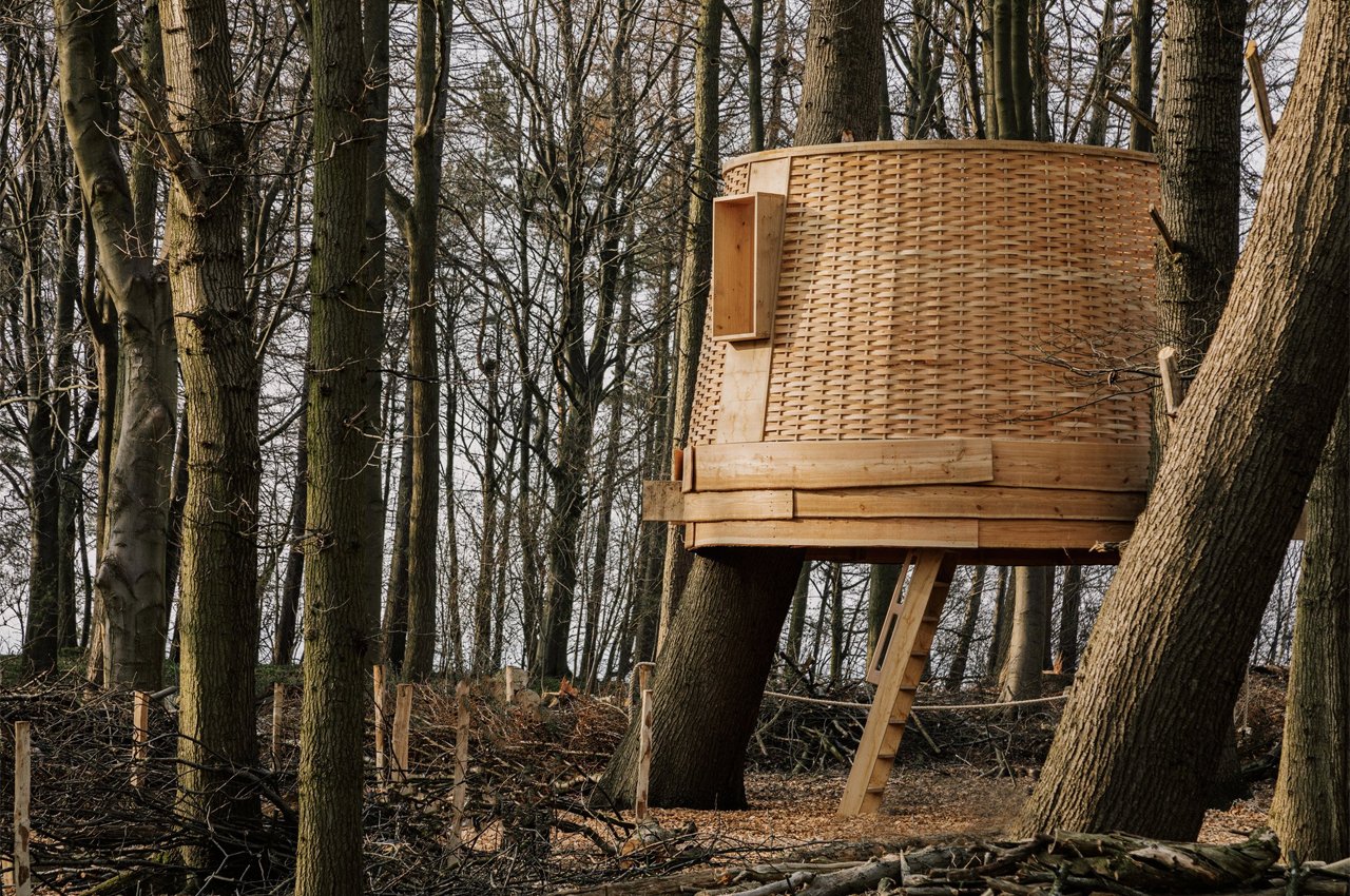 「The Harewood Biennial 2022」に向け、伐採した木で作られたツリーハウスを制作