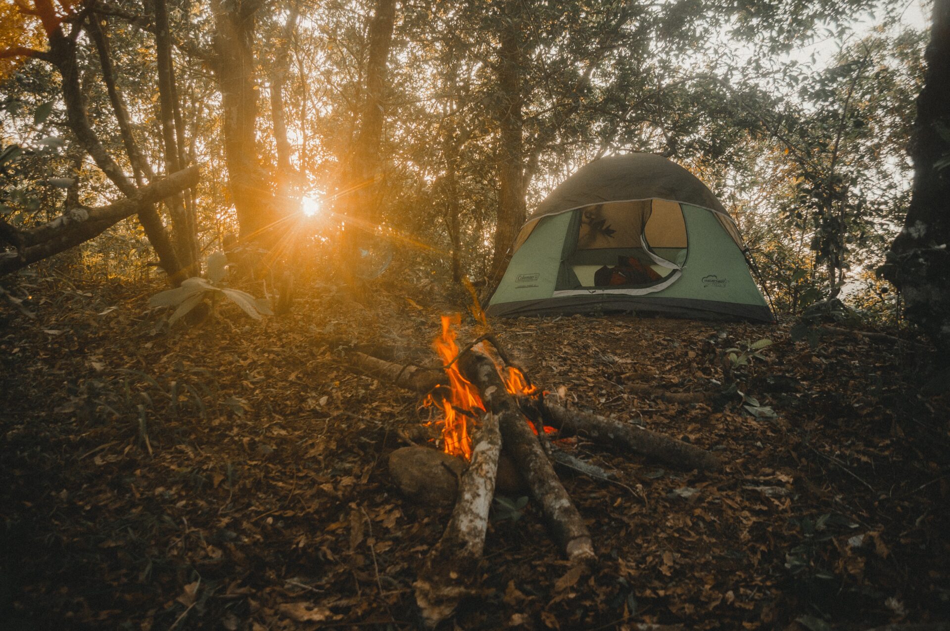 秋キャンプの魅力や楽しみ方。寒さ対策や持ち物、おすすめのキャンプ場もご紹介